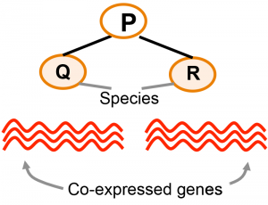 Spec modules