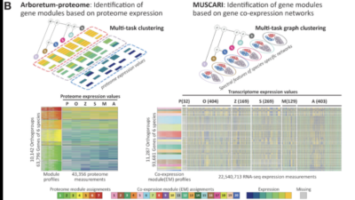 Computational Tools Unlock Evolutionary Complexity