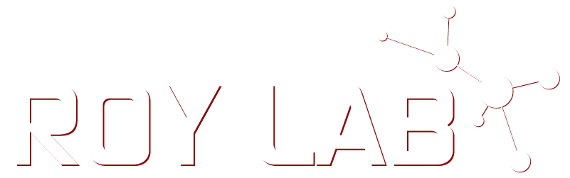 Roy Lab with abstract network node